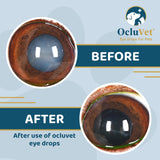OcluVet Eye Drops for Pets | Clinically Studied Antioxidants for Pets with Cataracts | Made in The USA | Includes 2% N-Acetyl-L-Carnosine (NAC) | 16mL