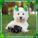 Kacctyen 150 Pcs St. Patrick's Day Dog Bows with Rubber Bands St. Patrick's Day Flower Yorkie Dog Hair Bow Pet Hair Accessories for Small Medium Puppy Bunny Pet Cat(Heart,Clover)