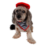 French Beret & Scarf Pet Costume - Two Piece Beret & Scarf Set - Dog & Cat Costume - One Size