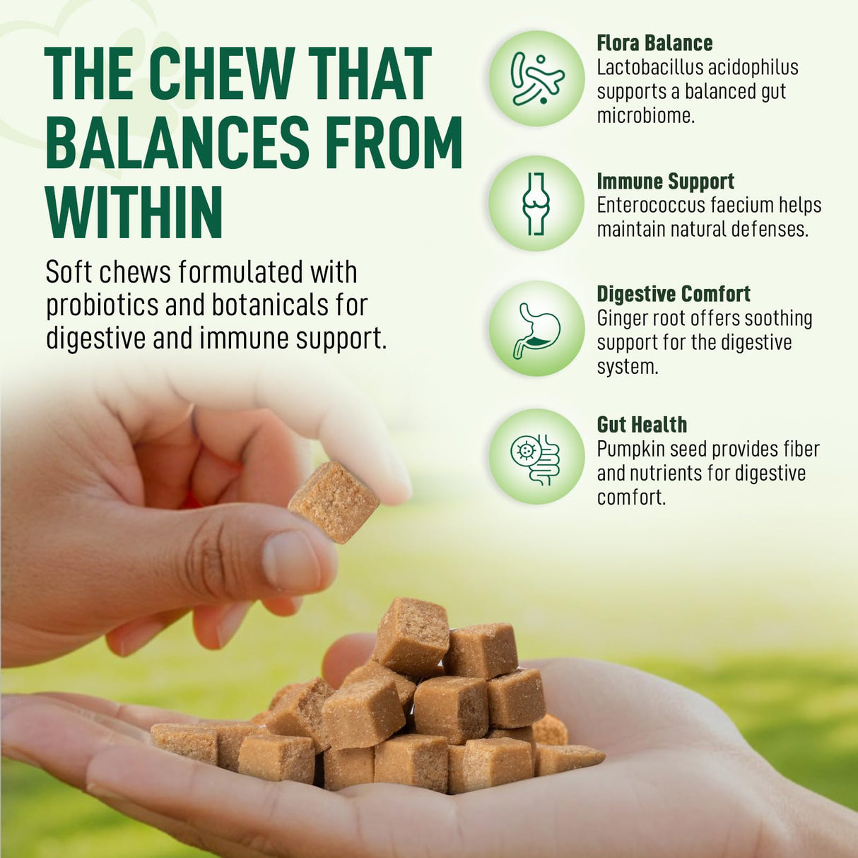 My Dog Sanctuary Probiotics for Dogs 120 Chews - Digestive Enzymes & Gut Health Support with Pumpkin Seed, Ginger Root – Dog Probiotics for Diarrhea, Bowel & Immune Support - Bacon Flavor, Soft Chews