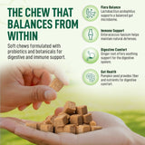 My Dog Sanctuary Probiotics for Dogs 120 Chews - Digestive Enzymes & Gut Health Support with Pumpkin Seed, Ginger Root – Dog Probiotics for Diarrhea, Bowel & Immune Support - Bacon Flavor, Soft Chews