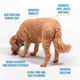 Eggshell Membrane Collagen for Dogs - Non-Gelatin and Non-Bone Marrow Based, All Natural Premium Dog Collagen Powder from Eggshell Membranes: Supports Pet Hips, Joints, Nails, Fur and Digestion.
