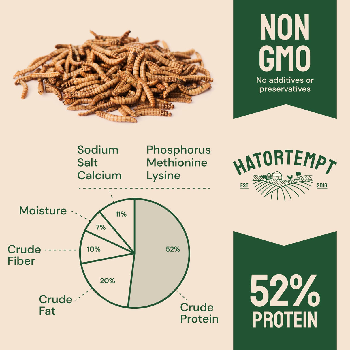Hatortempt Bulk Dried Mealworms 10 lbs – Premium Non-GMO Dried Mealworms for Chickens – High Protein Organic Chicken Feed - Meal Worms for Birds & Chicken Treats for Laying Hens