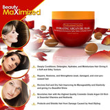 Hydrating Argan Oil Hair Mask and Deep Conditioner for Dry or Damaged Hair (8.45 oz Jar)