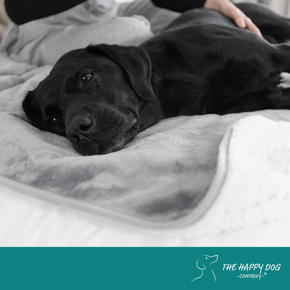 Waterproof Dog Blanket Washable – Dog Waterproof Blanket for Chair & Crate, Reversible Sherpa & Microfiber, Thick 460 GSM Dog Blanket Waterproof, 30x40