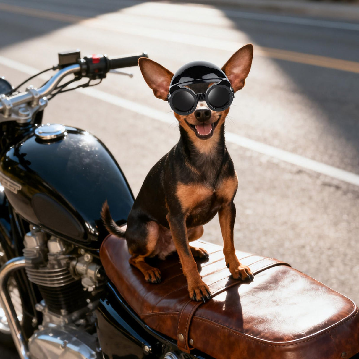 PETLESO Extra Small Dog Goggles and XSmall Dog Helmet, 2Pcs Anti-UV Doggy Sunglasses Cat Motorcycle Protecetive Helmet Set, Chihuahua Safety Hard Hat Outdoor Head & Eyes Protection, Black XS