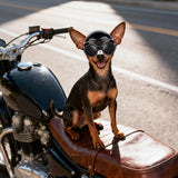 PETLESO Extra Small Dog Goggles and XSmall Dog Helmet, 2Pcs Anti-UV Doggy Sunglasses Cat Motorcycle Protecetive Helmet Set, Chihuahua Safety Hard Hat Outdoor Head & Eyes Protection, Black XS