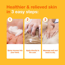 Load image into Gallery viewer, Douxo S3 Pyo Mousse, Contains 3% Chlorhexidine &amp; 0.5% Ophytrium, Antiseptic &amp; Hydrating, for Bacterial or Yeast Skin Infections, for Dogs, 5 fl. oz. (150mL)
