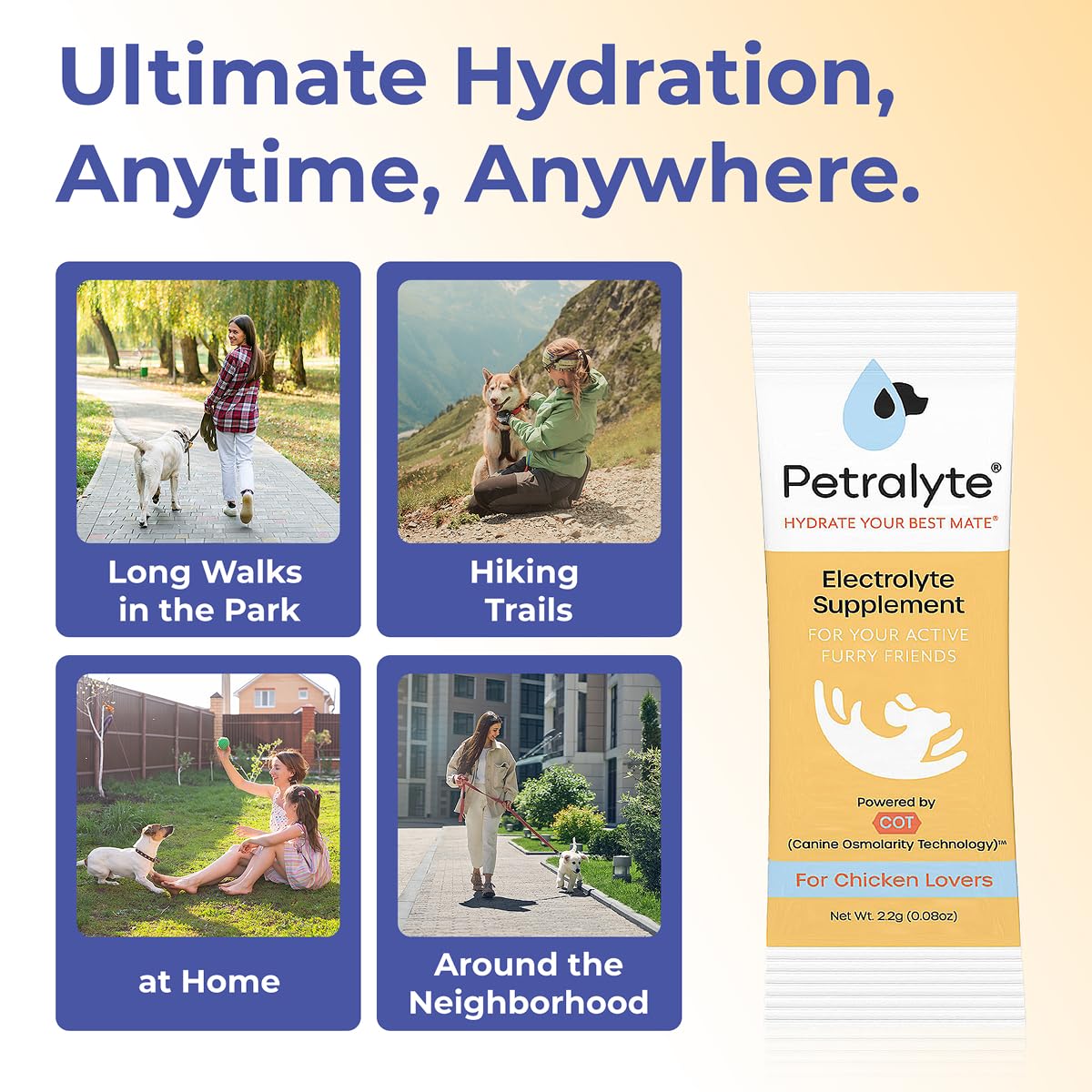 Petralyte Dog Electrolytes and Joint Supplement | Hydration Support for Dogs w/Glucosamine, Chondroitin & More | Electrolytes for Dogs with Prebiotics | for Chicken Lovers | 16 Packets