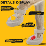 EVA Dog Shoes- Non-Slip Waterproof Dog Booties for Snow Winter, Easy ON & Off, Reflective Adjustable Pet Boots & Paw Protectors, Rugged Sole for Small Medium Large Dog Outdoor Walking (Beige,XL)