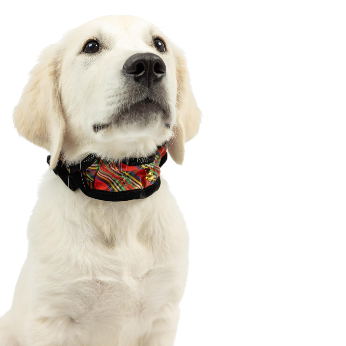 Huxley & Kent Ruff Pet Scrunchy | Shiny Christmas Plaid (Extra-Large) | Festive Christmas/Holiday Neckwear for Dogs/Cats | Fun Stretchable Costume Accessory | Soft Collar with Bells