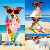 POPETPOP Dog Flower Crown, Dog Tiara Adjustable Pet Flower Headband for Pet Wedding Outfit Vacation Costume Decor