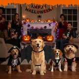 Olanrun Large Dog Halloween Costumes, Adjustable Dog Bat Wings Costumes for Large Dogs with Pumpkin Bell Skeleton Print On The Back, Pet Costume Halloween Cosplay Party Dress Up, XL Black