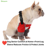 PetWarm Dog Front Leg Sleeves, Waterproof, Recovery Elbow and Knee Protector, All Season Dog Leg Sleeve for Small Dogs, Post Surgery Protection, Grey, S