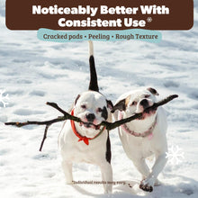 Load image into Gallery viewer, Natural Dog Company Paw Soother Balm &amp; Wax - Dog Paw Balm &amp; Moisturizer for Dry, Cracked Paw Pads, Helps Moisturize &amp; Condition Winter-Worn Paws, Coconut Oil &amp; Calendula, Daily Paw Care, 2 oz Stick
