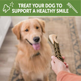 Wellness WHIMZEES Value Box Dog Dental Treats, X-Large Size, (15 Count)