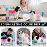 DOTUHAO Dog Hair Dye, 6 Color Pet Hair Dye, Pet Safe Dye, Dog Hair Coloring Agent, Fashionable DIY Pet Grooming Easy to Use Pet Hairs Dye Permanent for Pets Grooming (6 colors, 3.5 fl oz / 100 ml)