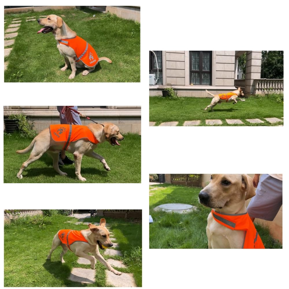 IDOU 2 Pieces Orange Reflective Dog Safety Vest - High Visibility for Walking, Jogging & Training - Size S