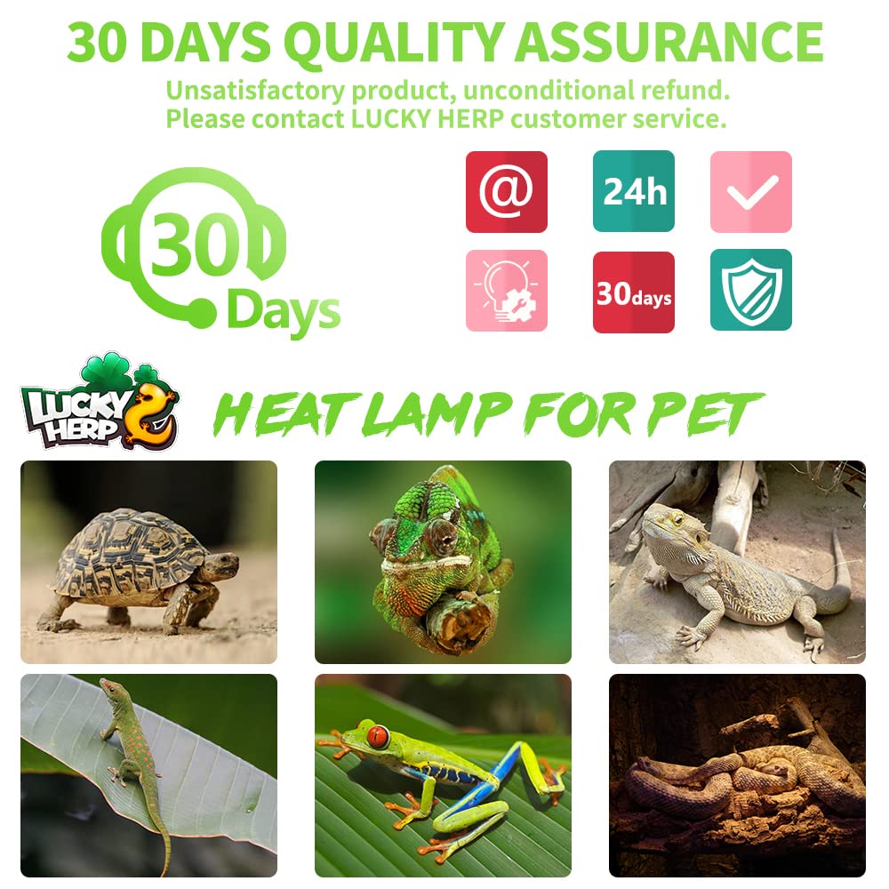 LUCKY HERP 2 Pack 50W Reptile Heat Lamp Bulb (2nd Gen), Amphibian Basking Light Bulb, Reptile Daylight Bulb for Turtle, Bearded Dragon, Lizard Heating Use