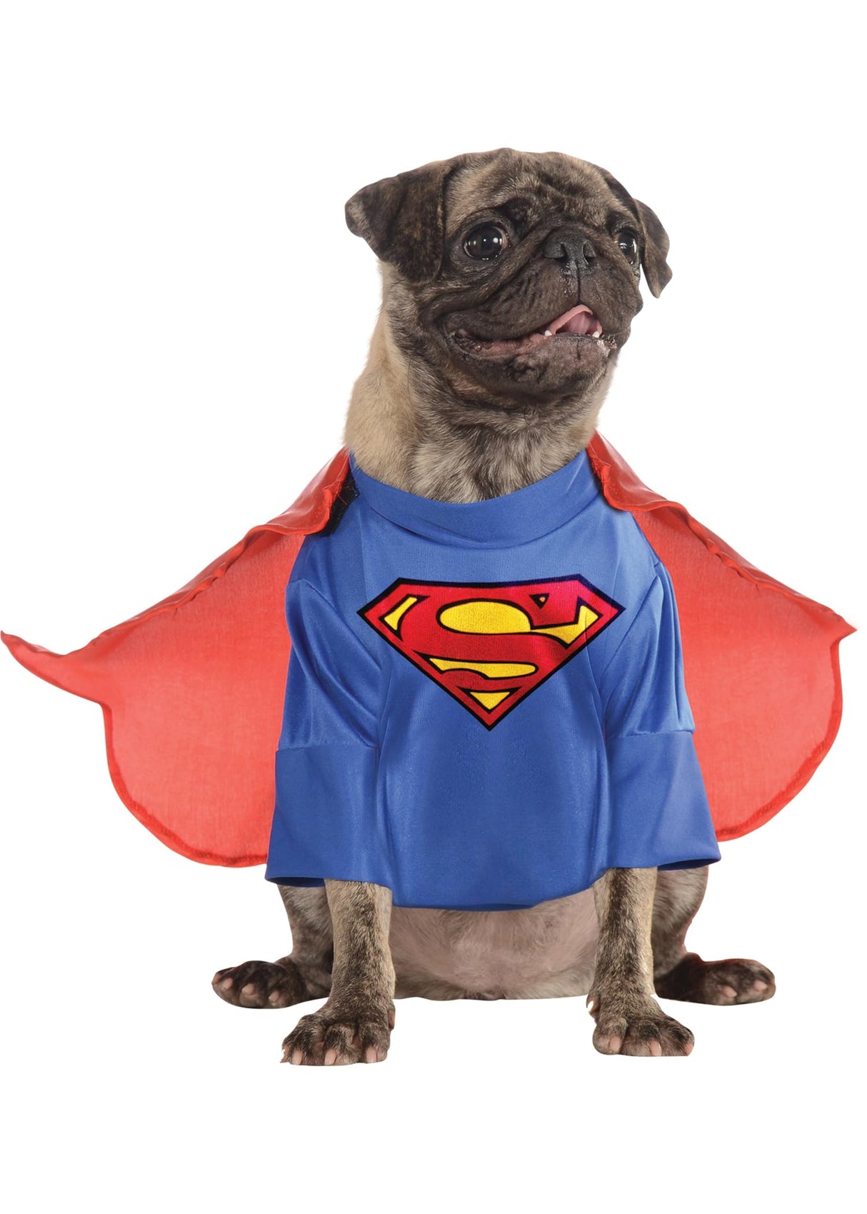 DC Comics Superheroes: Superman Pet Costume for For Dogs or Cats by Rubies, XL