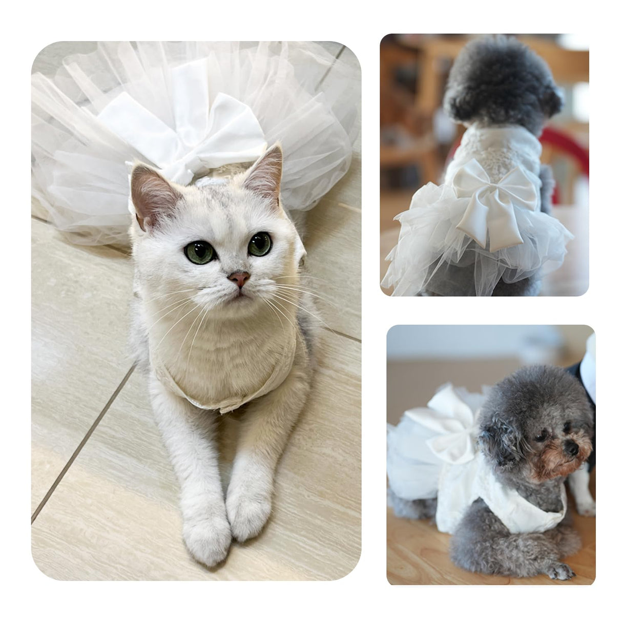 Dog Dress Wedding Outfits, Princess Lace Tutu Strappy Skirt for Female Puppy Small Medium Dogs Girl Cats Costume (Embroidery Dress, Medium)