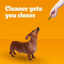 Load image into Gallery viewer, Pedigree Dentastix Small and Toy Breed Dog Treats, Fresh Flavor, 1.54 lb. Bag (102 Treats)
