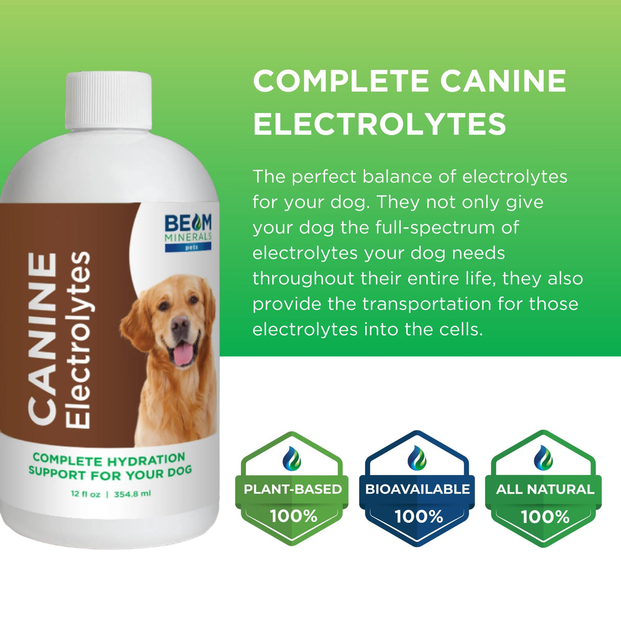 Beam Minerals Complete Canine Electrolytes | Full-Spectrum Electrolytes for Dogs | 12 Fl Oz