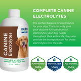 Beam Minerals Complete Canine Electrolytes | Full-Spectrum Electrolytes for Dogs | 12 Fl Oz