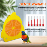 ZHEQOGZH Bird Cage Heater for Cockatiels Parrots Conure Finches Parakeets Heater Snuggle Up Bird Warmer 12V 18W, Size 5.3" x 4.7"