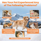 VUN Salmon Fish Oil for Dogs & Cats,Omega 3 Fish Oil Supplement for Itchy Dry Skin Coat,Allergy Relief,Joints&Paws,Brain,Eyes&Heart Treatment,Wild Liquid Fish Oil for Dogs by Pump with EPA DHA–16 oz