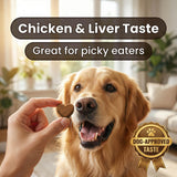 QUEPEYKI Anal Gland Support Soft Chews for Dogs, 90 Count – Pumpkin Seed Fiber, Psyllium & Dandelion Root with Probiotics (800M CFU) – Supports Firm Stools & Digestive Balance – Chicken & Liver