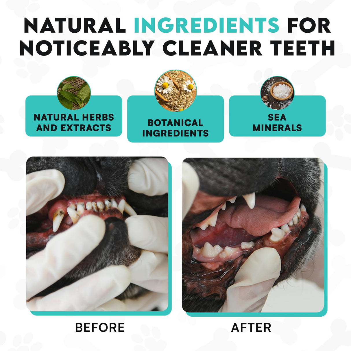 Dog Teeth Cleaning Powder–Natural Dog Dental Powder for Teeth Cleaning, Breath Freshener & Plaque Remover–Tartar Control, Oral Care &Bad Breath Treatment-French Bulldog Optimized Great for all breeds