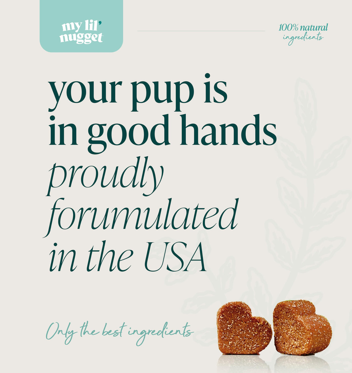 My Lil' Nugget – Vet-Approved Calming Chews for Dogs | All-Natural Calm Treat for Noise, Travel & Home Alone | Chamomile & Melatonin | All-Ages - Senior Dog to Puppy | 90 Beef‑Flavor Soft Chews