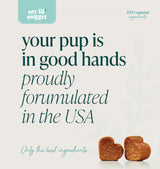 My Lil' Nugget – Vet-Approved Calming Chews for Dogs | All-Natural Calm Treat for Noise, Travel & Home Alone | Chamomile & Melatonin | All-Ages - Senior Dog to Puppy | 90 Beef‑Flavor Soft Chews