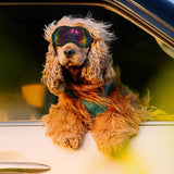 Dog Goggles for Large Dogs, UV Protection Dog Sunglasses, Adjustable Strap, Windproof、Dustproof、Anti-Fog Eye Protection Sunglasses for Large and Medium Dogs (Black Frame)
