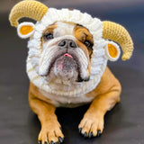 Zoo Snoods Ram Goat Costume - Warm Knit Dog Snood Wrap for Pets, Neck Ear Cover Protection, Halloween Winter (Small)