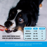 Pet Honesty Omega Skin Health Chews for Dogs, Alaskan Salmon Oil, Omega-3 Fish Oil, Krill, Spirulina, Omega-3s, Healthy Skin & Coat, Itchy Skin, Dog Allergies, May Reduce Shedding (90 Count)