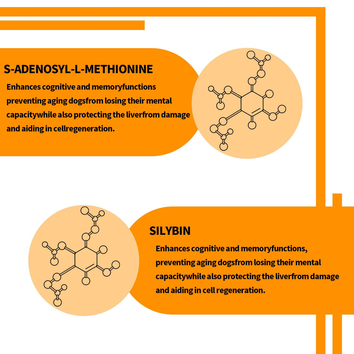 Same and Silybin for Dogs - S-Adenosyl-L-Methionine, Same for Dogs, Liver Supplements for Dogs, Hepatic Supplement for Liver & Brain, Dog Liver Support (Same+Silybin), All Dogs (Under 120 lbs)