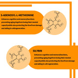 Same and Silybin for Dogs - S-Adenosyl-L-Methionine, Same for Dogs, Liver Supplements for Dogs, Hepatic Supplement for Liver & Brain, Dog Liver Support (Same+Silybin), All Dogs (Under 120 lbs)