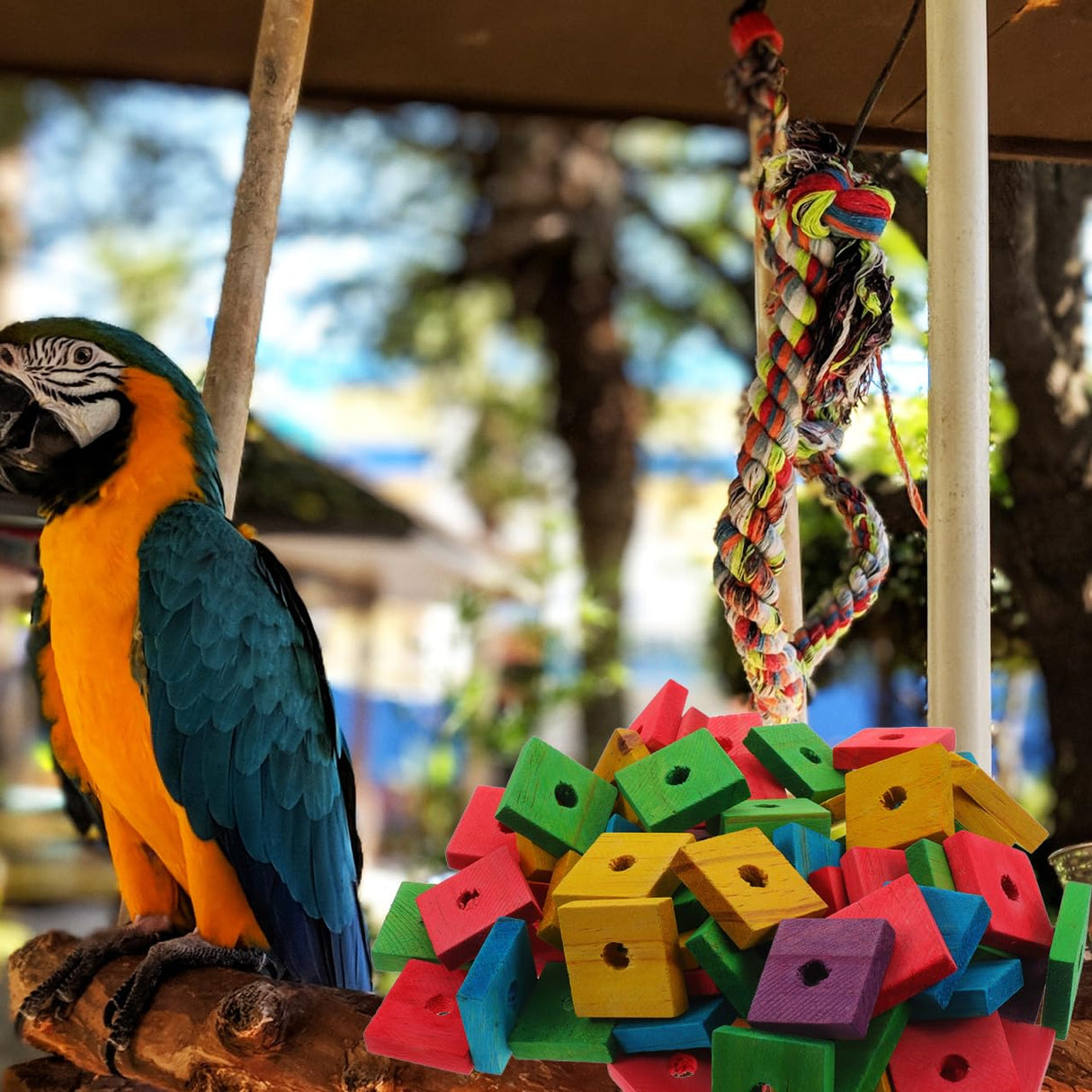 NOLITOY Bird Toys: 100 Pcs Wooden Blocks, Parrot Chew Toys Beak Trim Foot Craft Cage Parts DIY Shredding Playing for Macaw Conure African Grey Indoor Gift for Bird Lovers (Mixed Colors)