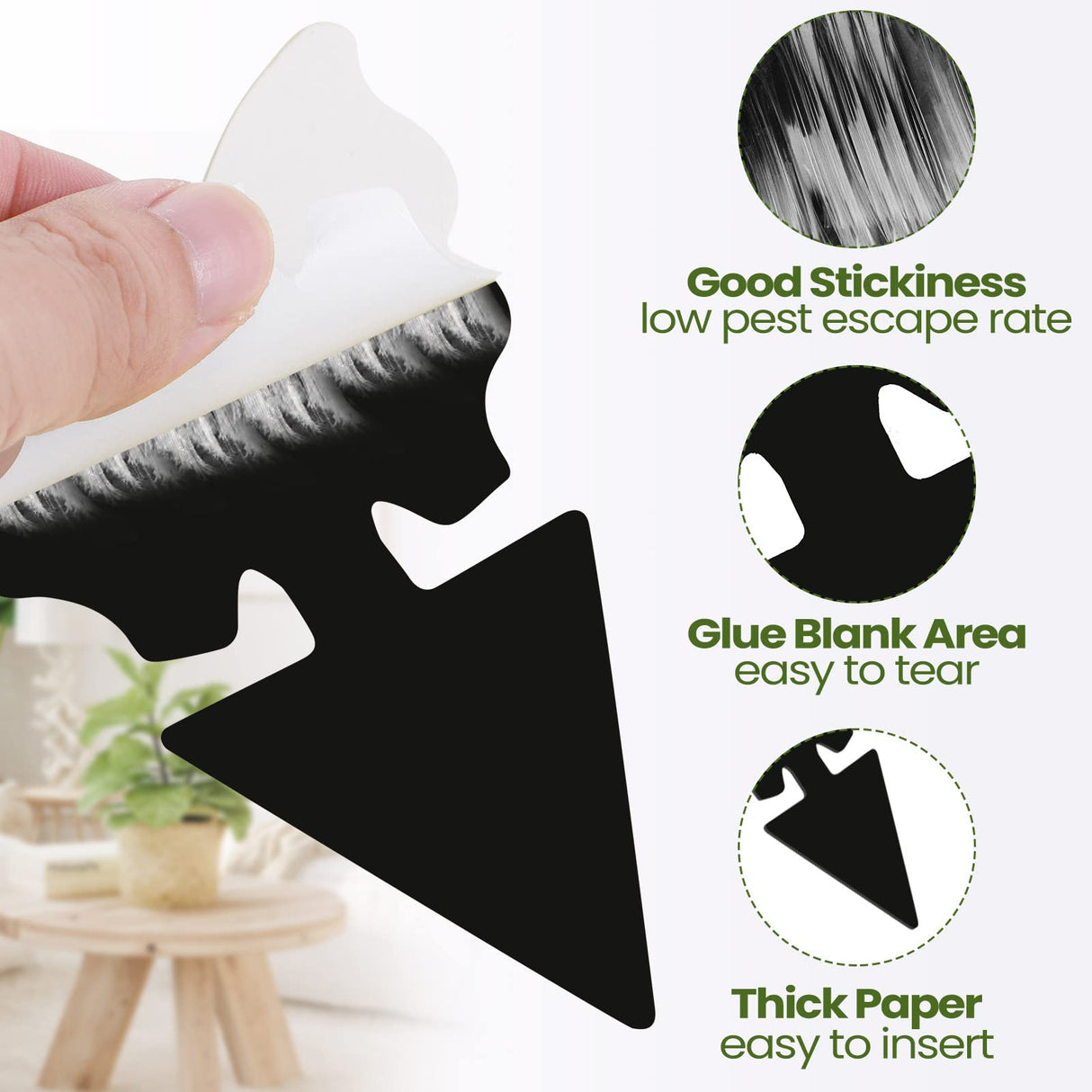 200 Sheets Fruit Fly Traps Sticky Traps for Fruit Fly Gnat Trap for House Indoors Sticky Traps Catcher for Gnats Fungus Gnats Mosquito Catcher Traps for Kitchen Outdoor Plants (Black)