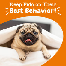 Load image into Gallery viewer, Zesty Paws OraStix for Dogs - Calming Dental Sticks for Stress with Hemp Melatonin Chamomile Dog Healthy Teeth and Gums Calm Composure for Fireworks and Thunderstorms - 25oz
