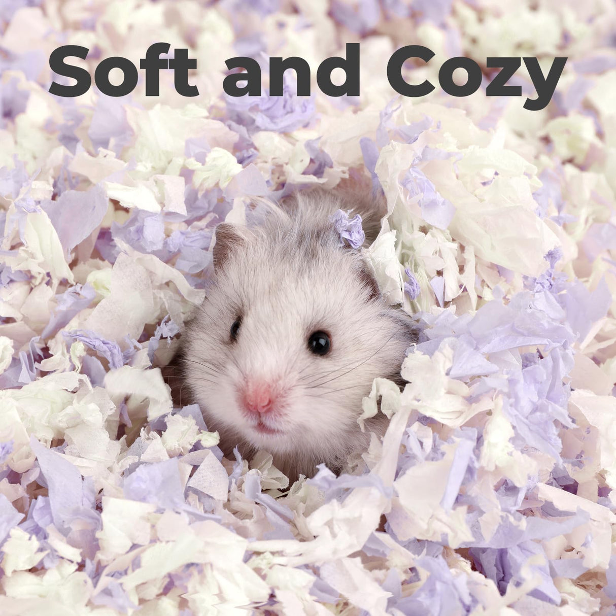 mini&moe Guinea Pig Bedding 50L: Dust-Free and Odor Control Moisture Absorbent Unscented Natural Paper Small Pet Bedding - for Hamsters,Guinea Pig, Chinchilla,Rabbits,Rat,Ferret, and Gerbil, 50 Liters