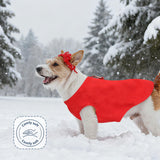 PETAXCELL Dogs Fleece Vest Sweater, Stretch Fleece Dog Coat with Leash Ring Winter Warm Pet Thick Clothes Soft (M, Solid, Rose Red/Purple, 2Pack), for Chihuahua/Bichon/Puppies/Kitten