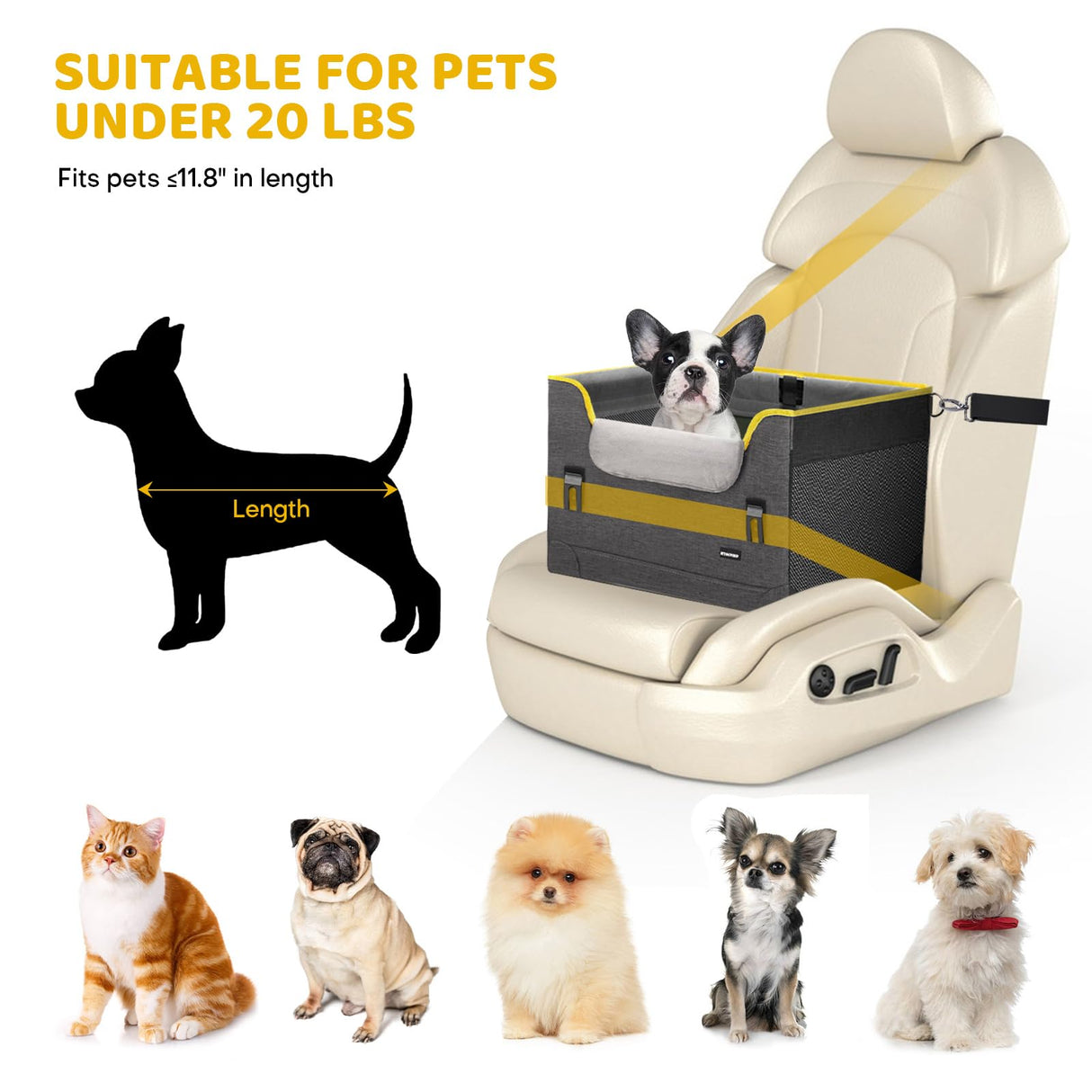 GENORTH Dog Car Seat for Small Dogs,Detachable Pet Car Seat Under 20 lbs,Dog Booster Seat with Cozy Chin Rest,Cushion and Safety Belt, (Gray)