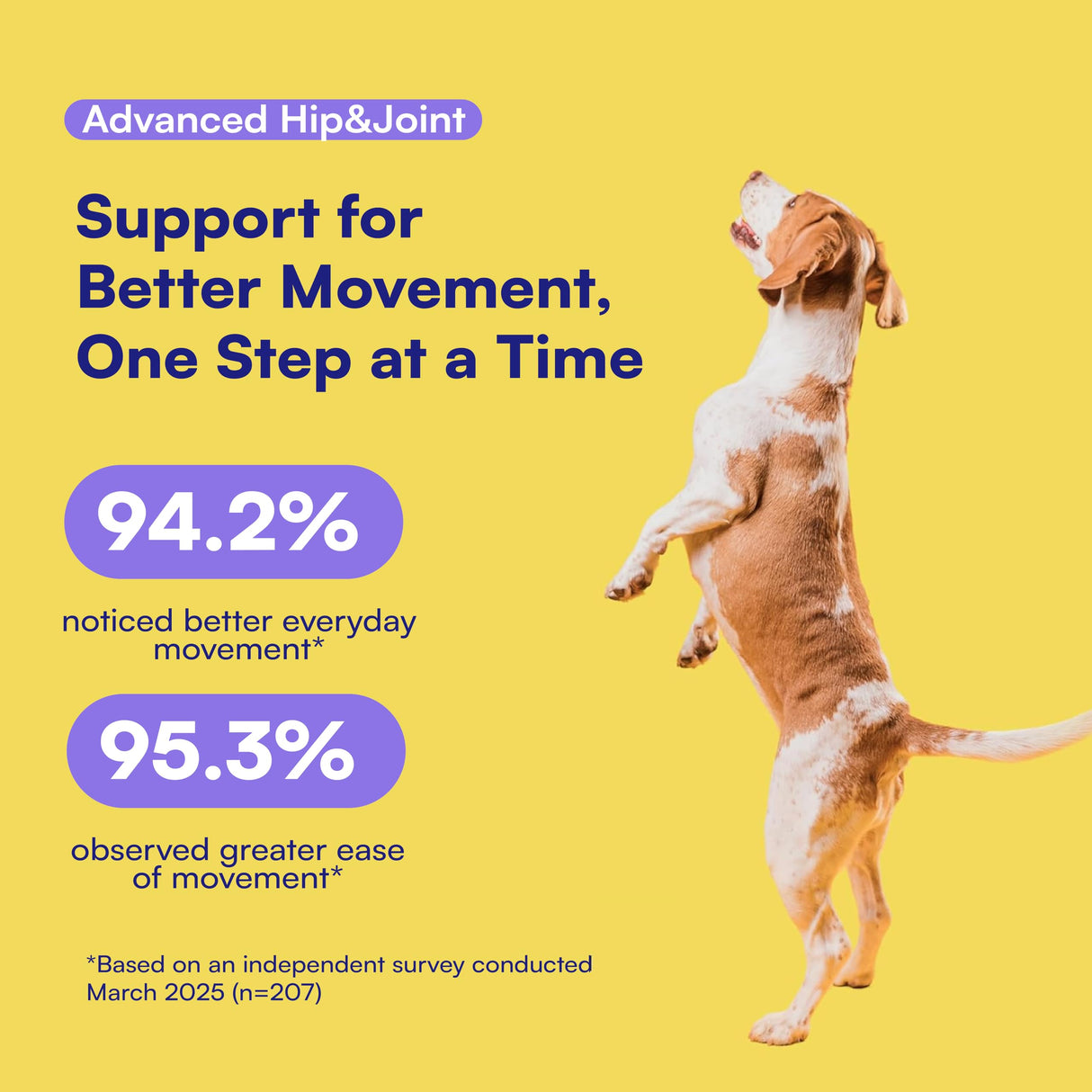 Boops Pets Advanced Hip & Joint Supplement for Dogs - 90 Soft Chews with Glucosamine, MSM, Chondroitin & Multivitamins - Supports Mobility & Flexibility - Made with Pasture-Raised Chicken