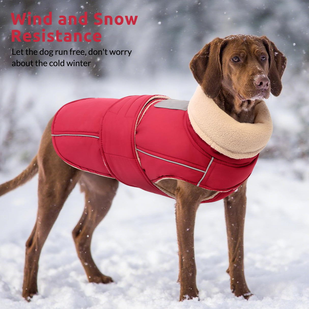 ASENKU Warm Dog Coat, Waterproof Dog Jackets for Large Dogs with Reflective Fleece Vest Turtleneck with Button,Windproof Cold Weather Coats for Small Medium Large Dogs, Red, 3XL