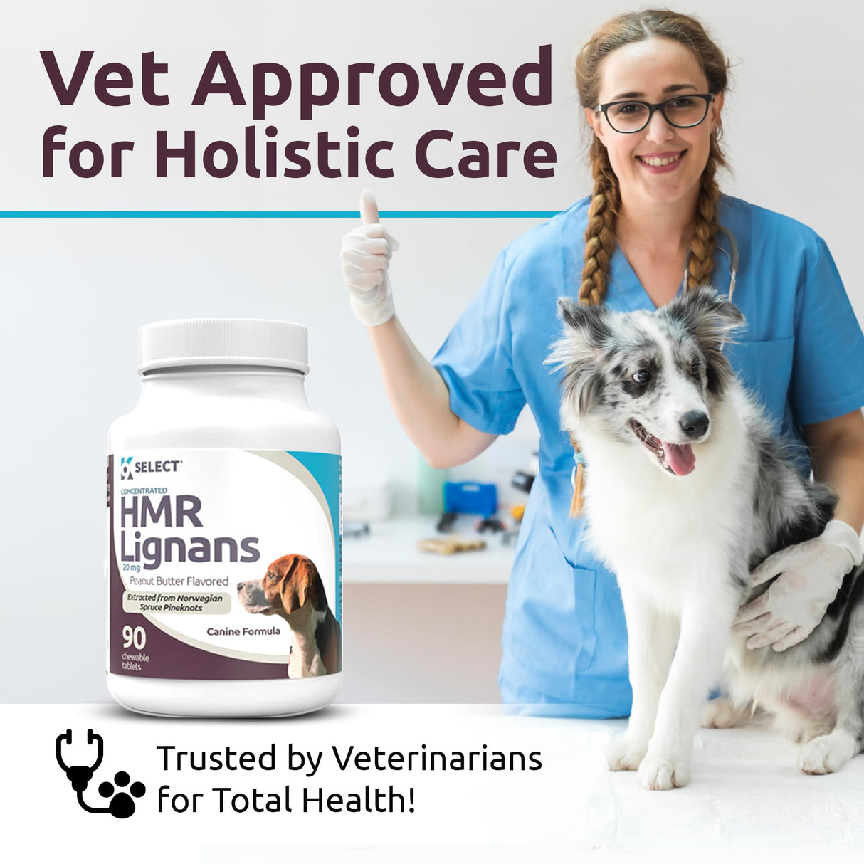 K9 Select HMR Lignans for Dogs - Enhancer for Overall Wellness, Immune Support for Dogs - Norway Spruce Extract Holistic Dog Health - Digestion, & Coat Care - Peanut Butter, 20mg, 90 Tablets