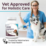 K9 Select HMR Lignans for Dogs - Enhancer for Overall Wellness, Immune Support for Dogs - Norway Spruce Extract Holistic Dog Health - Digestion, & Coat Care - Peanut Butter, 20mg, 90 Tablets