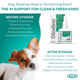 ICF Otodine Dog Ear Cleaner Solution - Veterinary Formula for Itchy Ears, Head Shaking & Scratching - Tris-EDTA Flush for Wax, Debris & Odor - Gentle & Safe for Cats & Puppies - 100ml